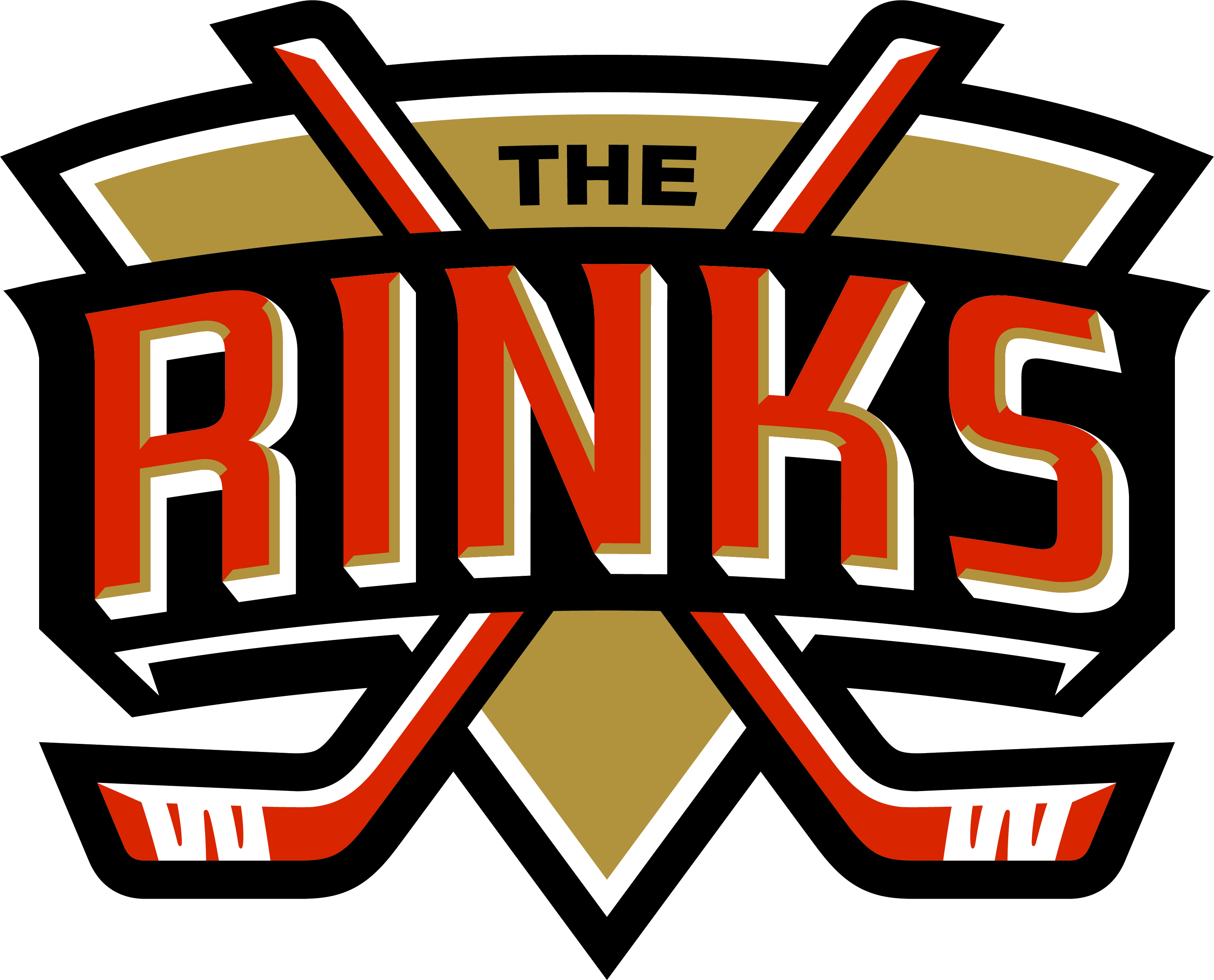 Rinks Development Program