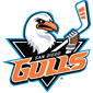 San Diego Gulls